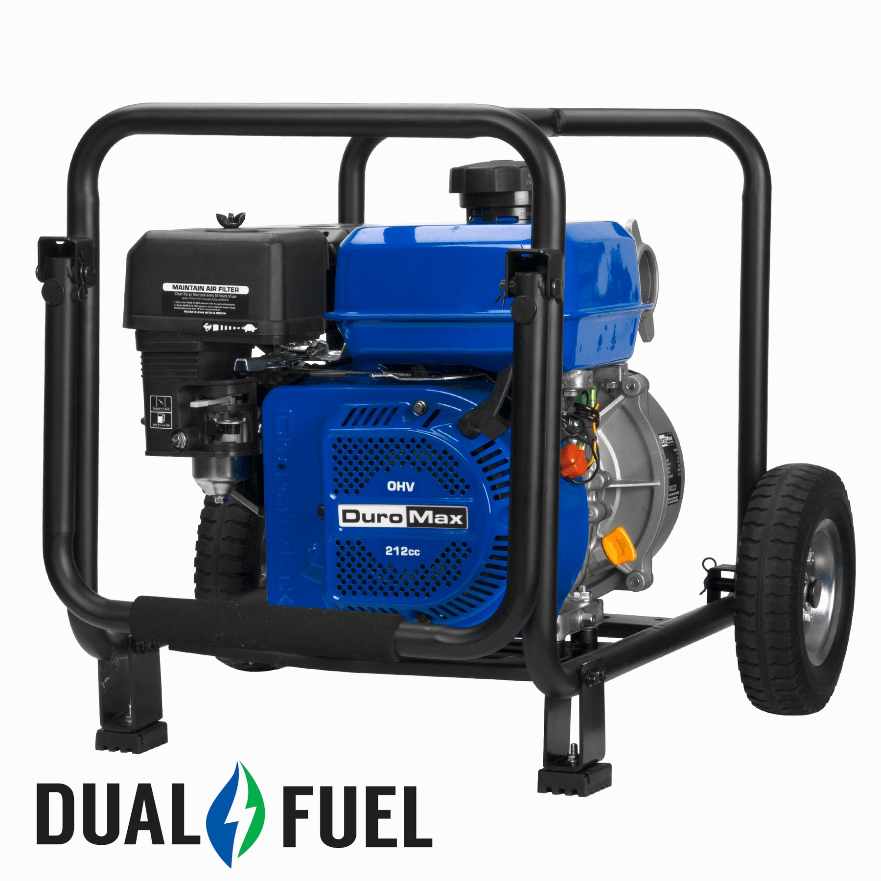 Dual Fuel Pumps