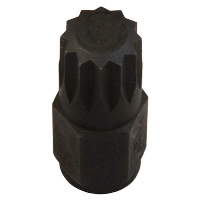 Assenmacher 14MM 12PT BIT
