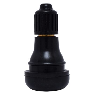 Dill Air Controls Dill TR412 Snap-In Tire Valve - Pack of 100