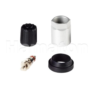 Hamaton Box Of 10 6-102 Service Kits for Schrader Gen J Type Sensors