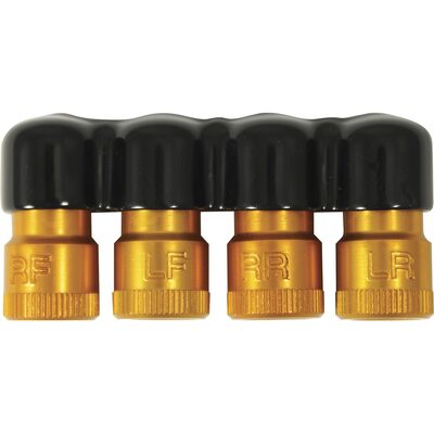 Lang Tools (Kastar) 401 - Rapid Deflators with TPMS Location Marks