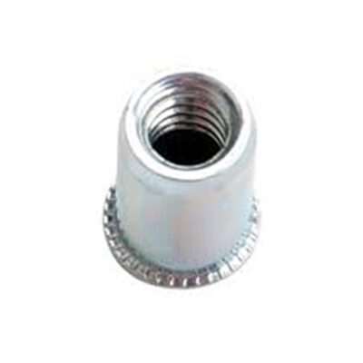 Marson NUT SERT POLY 1/4"40/BAG