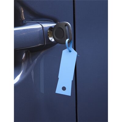 Petoskey Plastics Blue Plastic Key Tags- 1,000/Box